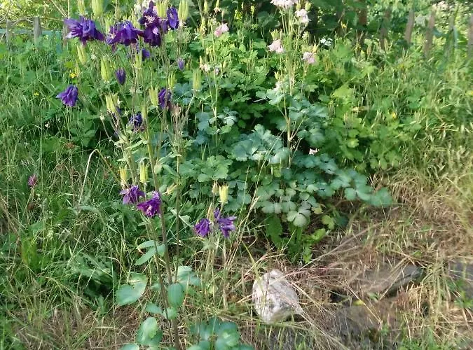 Nummer 13 Habitación en casa particular *