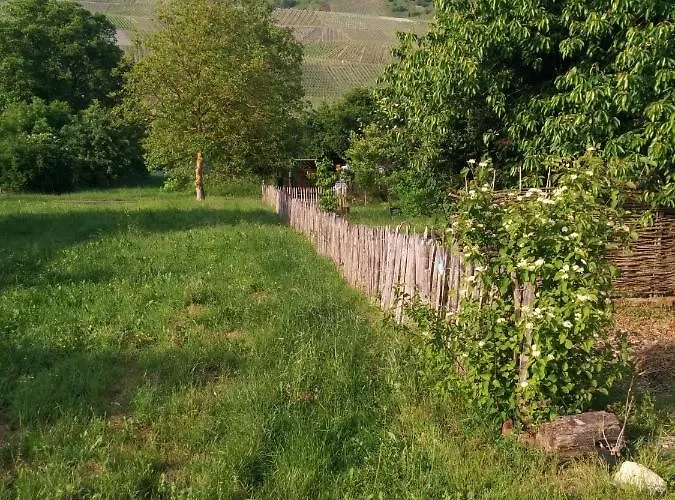 Habitación en casa particular Nummer 13