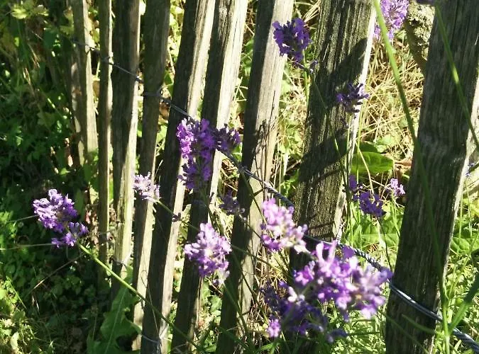 Habitación en casa particular Nummer 13 Bernkastel-Kues