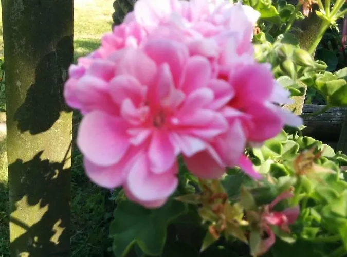 Nummer 13 Habitación en casa particular